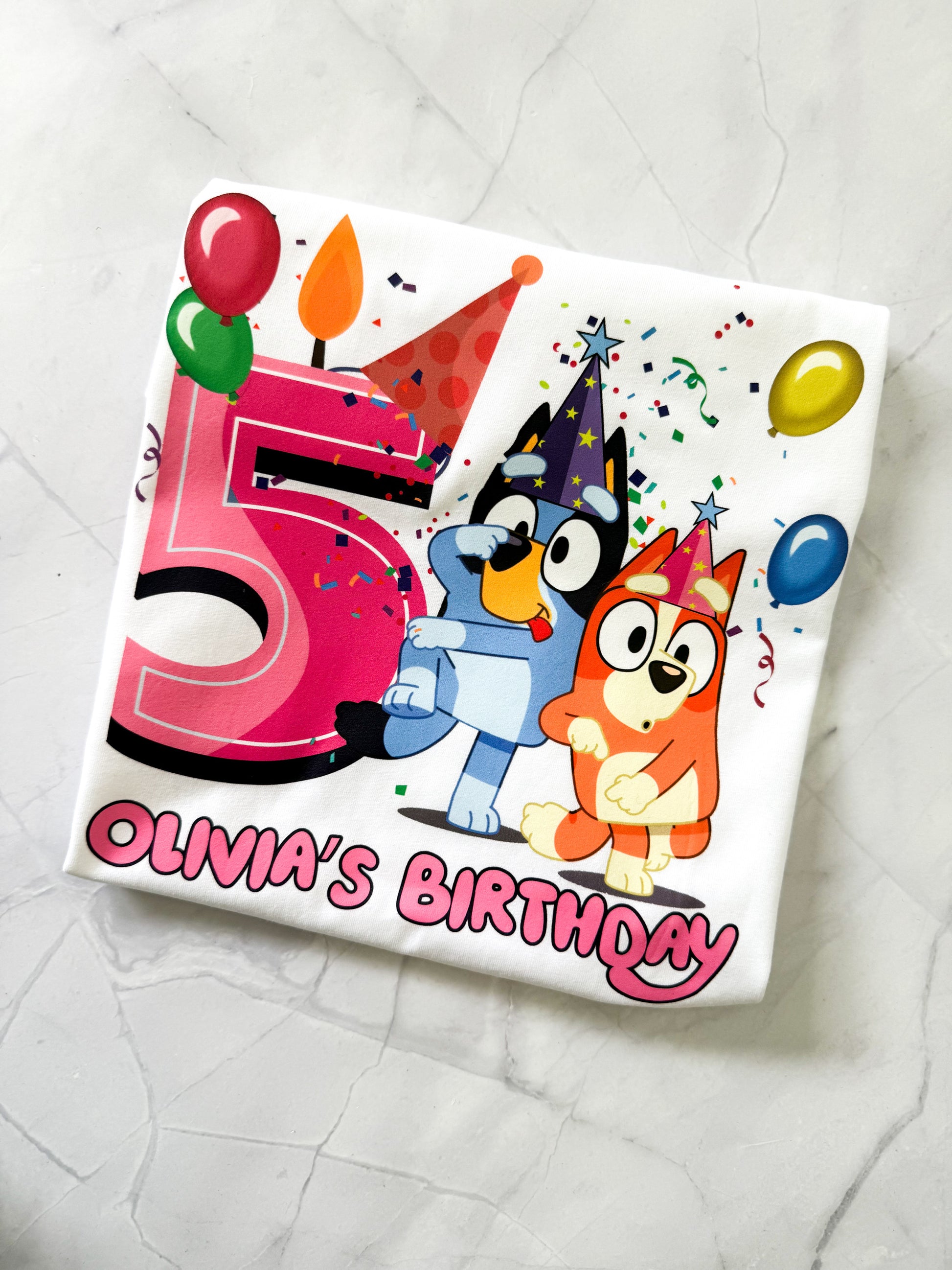 Bluey & Bingo Double the Fun kids birthday tee for party celebrations
